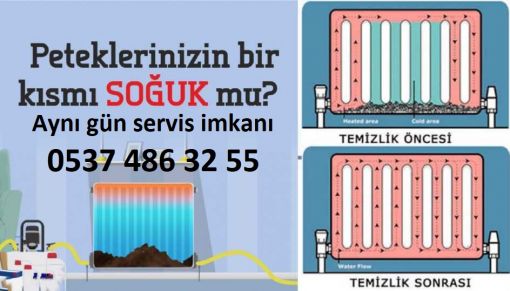 Petek temizleme servisi, Yenidoğan